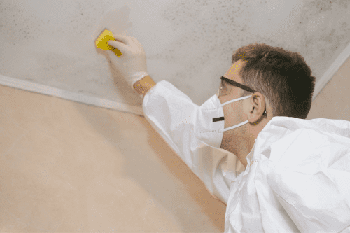 mold removal garland tx - AquaRescue Services