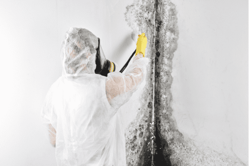 mold remediation garland - AquaRescue Services