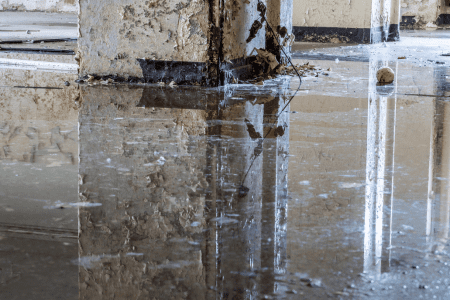 water damage restoration garland tx